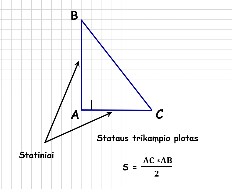 stačiojo trikampio plotas
